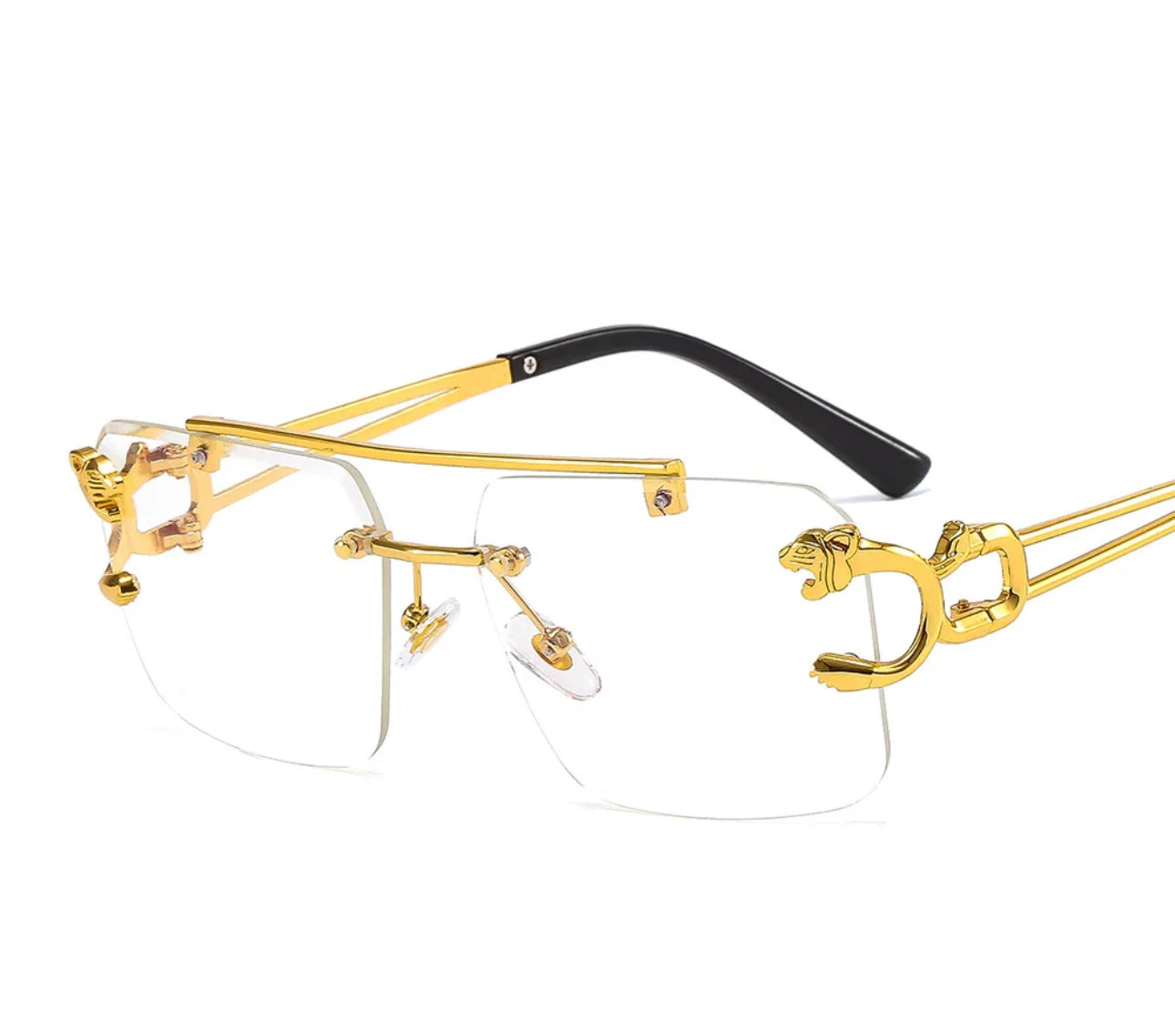 Occhiali con astuccio *05