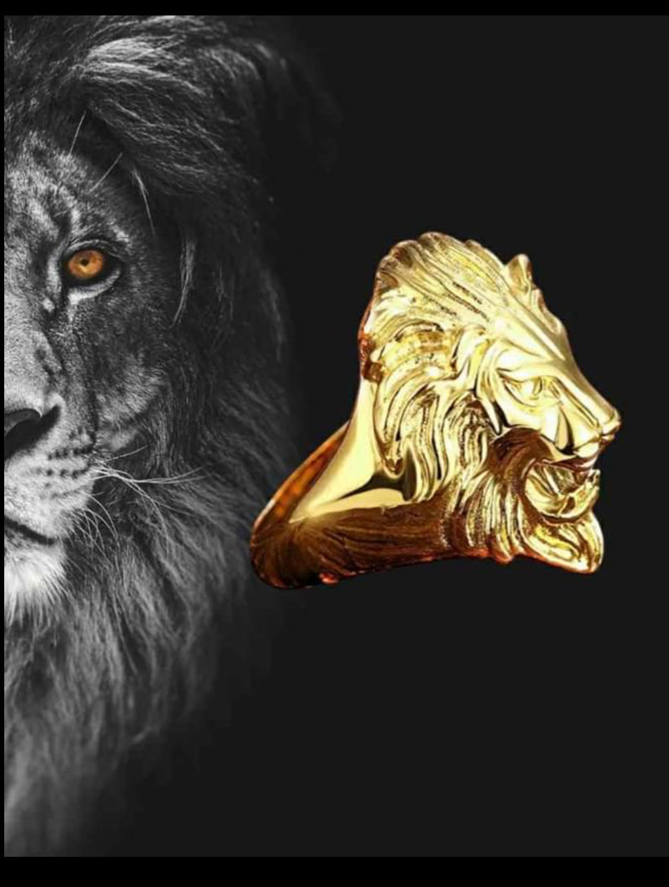 Anello leone acciaio *12