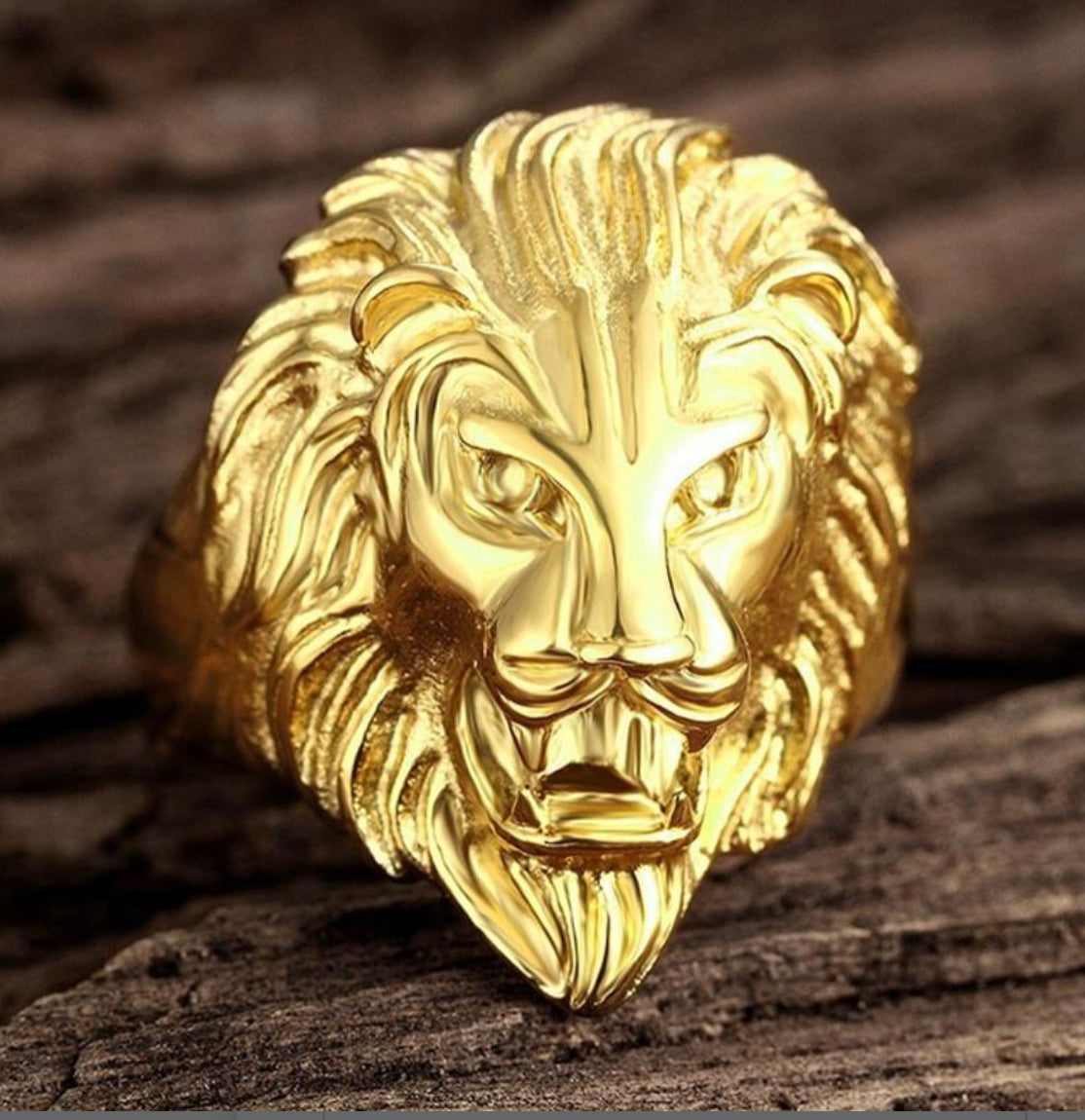 Anello leone acciaio *12